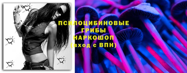гашик Алексеевка