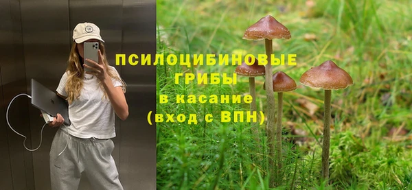 герыч Алексин