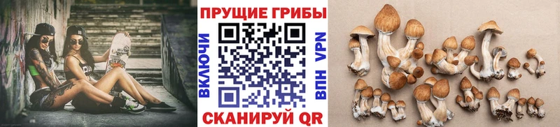 Галлюциногенные грибы ЛСД  Кропоткин 