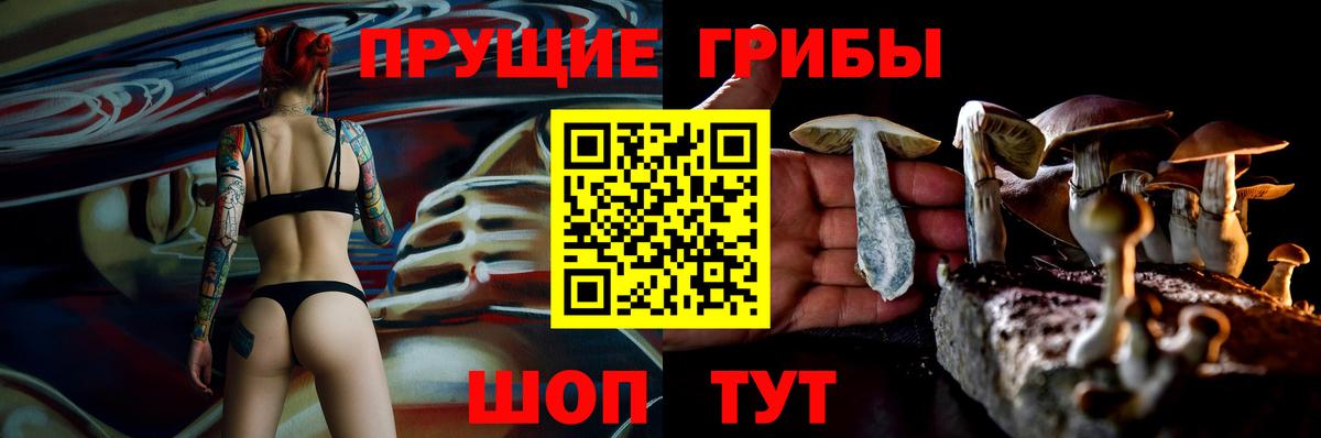 Кропоткин  Галлюциногенные грибы Psilocybe  Вход с VPN 